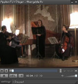 Applian FLV Player