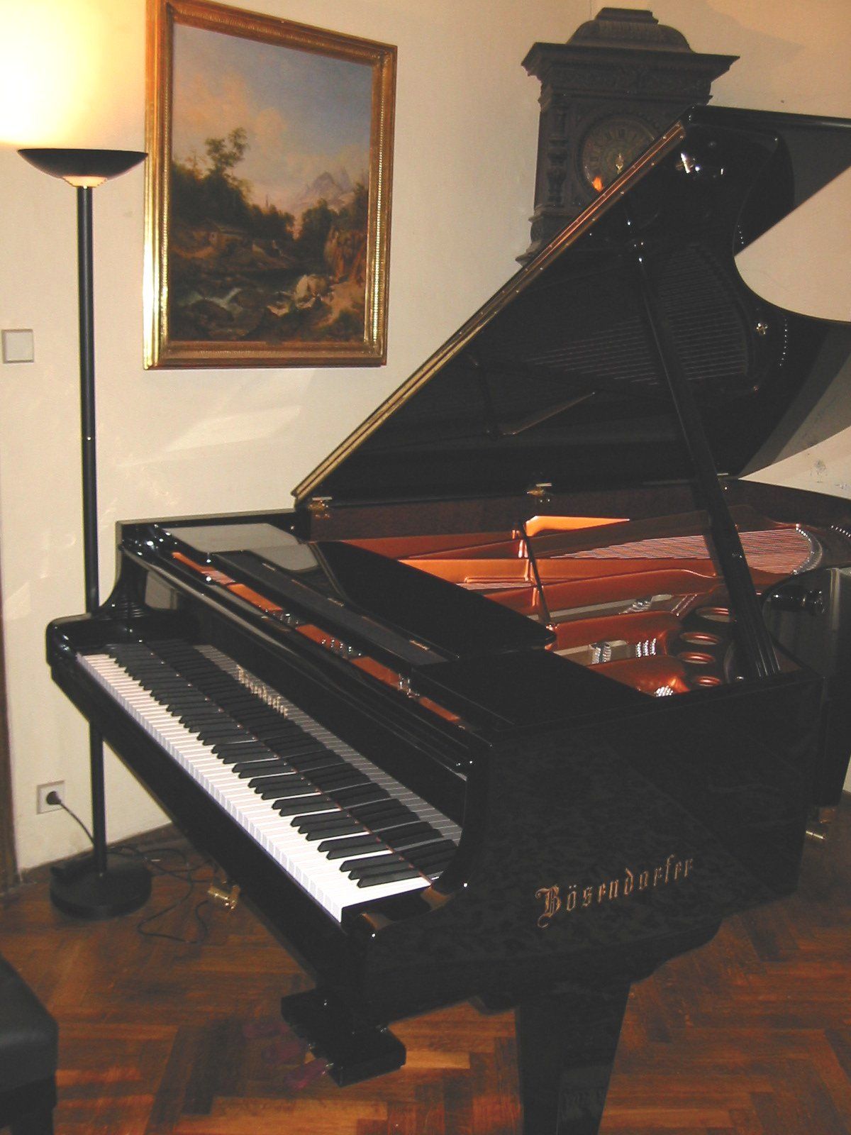 Bösendorfer 225